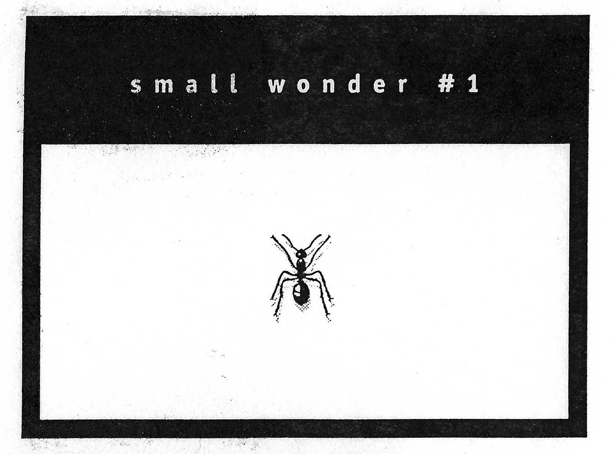 Small Wonder 1 - Ant